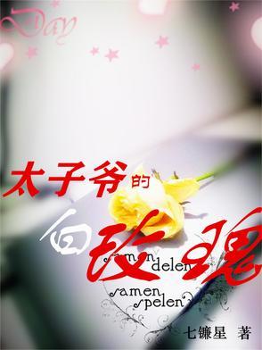 太子爷的白玫瑰TXT