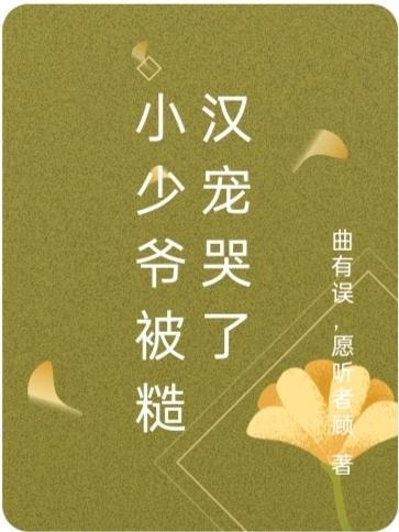 小少爷全文阅读