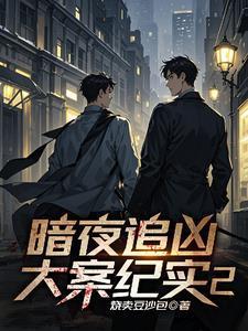 谍战剧暗夜微光播放时间